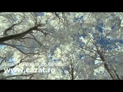 Cazare Sangeru de Padure, Mures - Cazat.ro