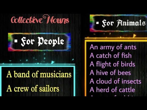 الاسماء الجماعية للحيوانات COLLECTIVE NOUNS FOR ANIMALS IN ENGLISH