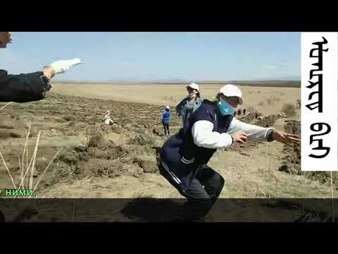 oirad traditional dance/ойрад традиционный танец