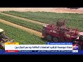 "الزراعة": حملة لترشيد الاستهلاك ودعم المزارعين مع تطبيق نظم حديثة للري واستخدام الطاقة الشمسية