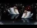 Лебеді -- Lebedi -- Swans -- Ukrainian song by Borovi ...