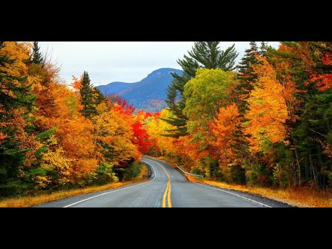 Lời thề xưa - Trọng Bắc