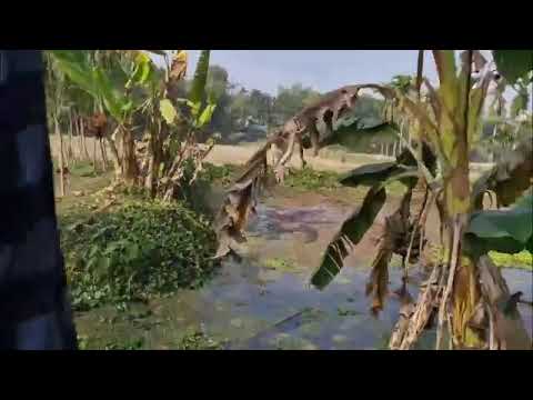 🔥 Alan Walker x K-391 x Julie Bergan – "Ignite" | Live at VG Lista 2025