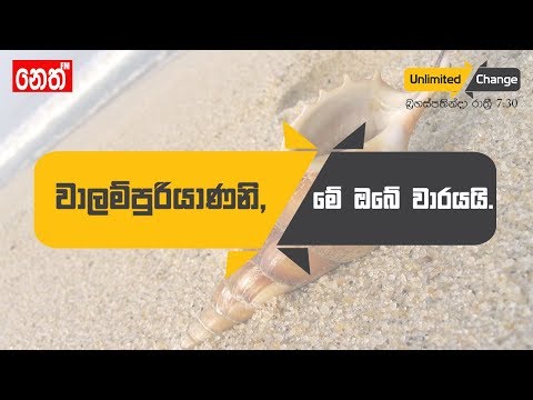 Neth Fm Unlimited CHANGE - වාලම්පුරියාණනි, මේ ඔබේ වාරයයි.