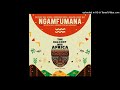 Balcony Mix Africa, Major League Djz & Nomfundo Moh - Ngamfumana (feat. LuuDaDeejay, Mellow & Sleazy