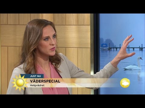 Meteorologen: "Det finns lite hopp att det spricker upp" - Nyhetsmorgon (TV4)