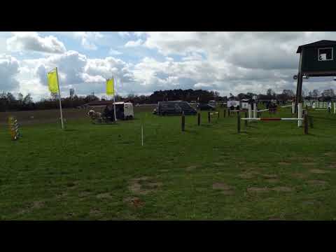 Fahrturnier Greffen 10.4.2022