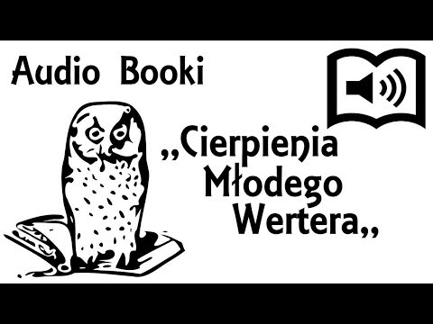 ,,Cierpienia młodego Wertera,, Streszczenie
