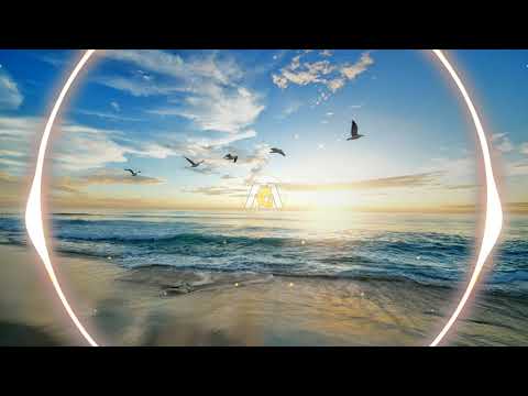 Wyko & Kamix x Sixcap - If You Want Me【Electronic Music & EDM】💯 Música Sin Copyright ▶ MGSC