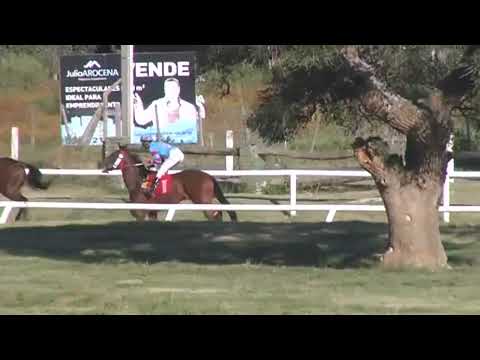 CARRERAS SINT COLONIA 221215 c08 -  1° ROCKING DAY