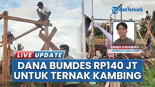 Rp140 Juta Dialokasikan Budidaya Kambing, Pemdes Salupangkang IV Mamuju Tengah Berdayakan BUMDES