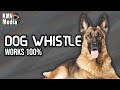 Dog Whistle Anti Dog Sound KMV Media 2025