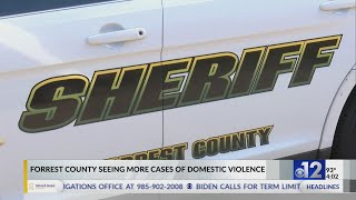 Forrest County organizations work to help domestic violence victims