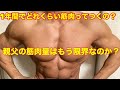 1年間でつく筋肉の量は?一般の人の筋肉量の限界は?