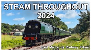 STEAM THROUGHOUT 2024 - The Collection.