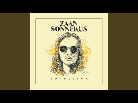 Plastiek Swaard - Zaan Sonnekus