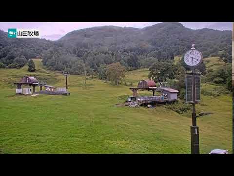Suzaka Goolight View live camera