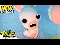 The Rabbid Quest S04E47 RABBIDS INVASION New Episode Cartoon For Kids
