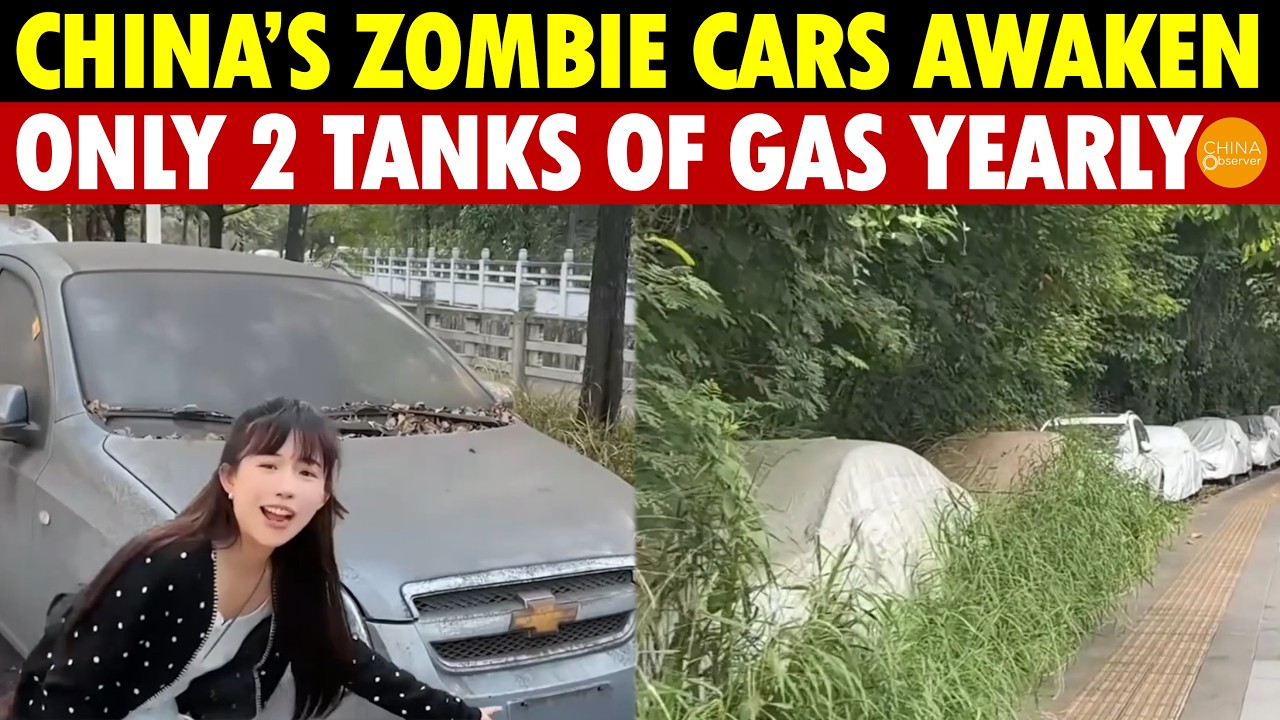 A Year’s Pay for a Car, Driven Just Days! Chinese Owners Can’t Afford to Drive—BMWs Sit in Weeds