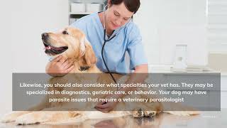 5 Tips on Choosing Veterinary Clinics For Your Pet