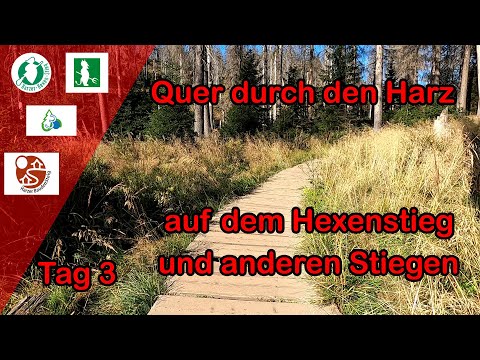 Harzer Hexenstieg und andere Stiege - Tag 3 - Quer durch den Harz