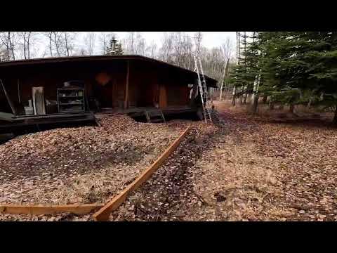 Fairbanks Alaska Training Run on Trails