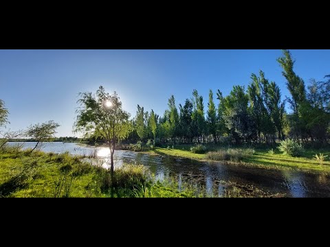 El paseo costero top de Río Negro está en Fernández Oro: cuenta con 48 hectáreas