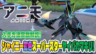 【アニモ】生態系活性化から虹色フォームなアニモを入手する方法を実践解説！シャイニー虹色スーパースターヤイバカマキリゲットしてみた！【初心者向け攻略動画】