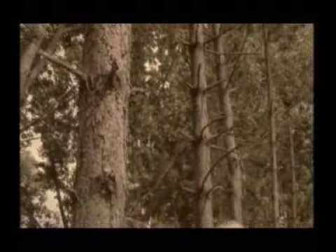 Etienne Charry - Osmose