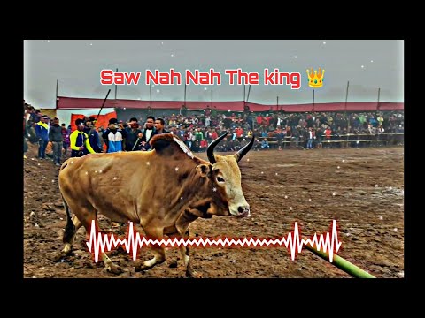 Sur Jingrwai Saw nan nah  || masi song