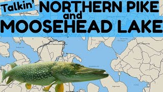On Moosehead talkin' Pike and Fishes