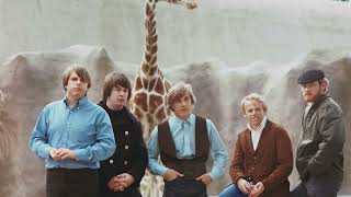 Beach Boys - Wouldn’t it Be Nice isolated vocal harmonies