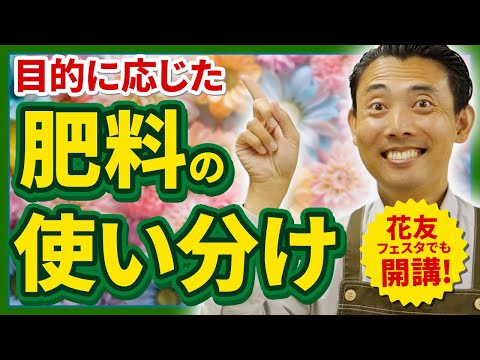 園芸 タンジー肥料