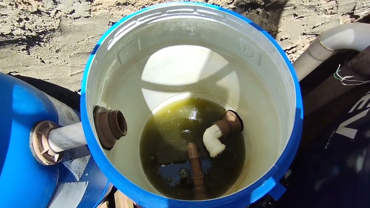 Como fazer a limpeza do decantador das tilápias em caixa D'água 🐟🐟🐟🪣✅#criaçãodepeixes #piscicultura