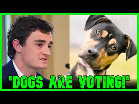 Little Freak Boy Nick Shirley Is Falling Apart | The Kyle Kulinski Show