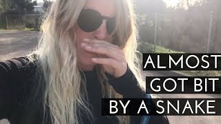 I ALMOST GOT BIT BY A RATTLESNAKE SNAKE | VANLIFE
