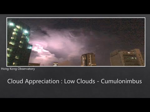 Cloud Appreciation: Low Cloud - Cumulonimbus