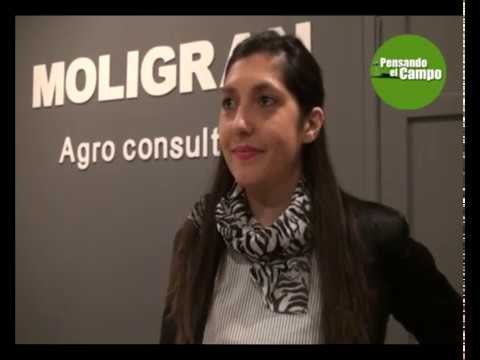 PENSANDO EL CAMPO TV