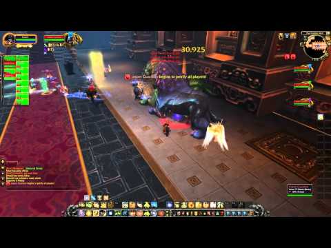 The Stone Guard - Mists of Pandaria Raid Boss Guide - Ft. Syiler!