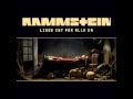 Rammstein Donaukinder