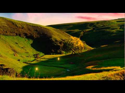 Noah (2014) - storia della creazione