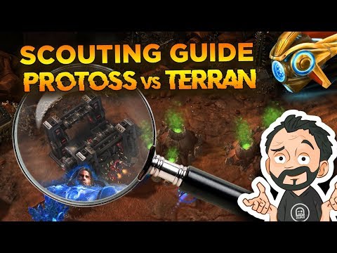 StarCraft 2 - Guide: How to SCOUT in Protoss vs Terran ?