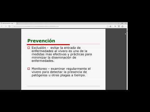 📚𝗖𝗨𝗥𝗦𝗢:II.DISEÑO, INSTALACION Y MANEJO DE VIVEROS FORESTALES Y PRODUCCION DE PLANTONES FORESTALES