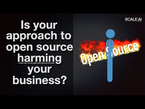 IP WHY E09 | Open Source Strategy for AI & Software