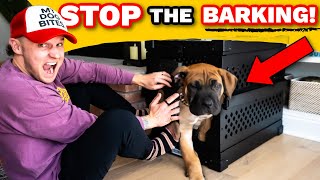 Why I ALMOST Gave Up Crate Training My Puppy!- Puppy Training Guide