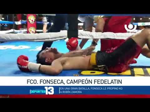 BOXEO DEL BUENO FONSECA CAMPEÓN
