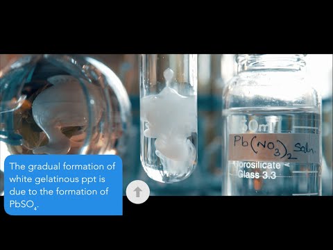 What happens when aluminum sulfate (Al2(SO4)3) react with lead nitrate Pb(NO3)2 | Al2(SO4)3+Pb(NO3)2