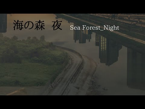海の森  夜  Sea Forest_Night  Tokyo Bay Night Music 2020 Video