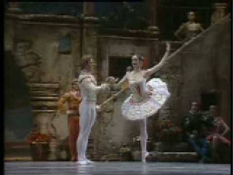 Don Quixote-pas de deux