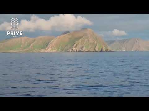 DJ Raul- Prive Podcast 023 - Deep House - 13.02.2020 - Special Birthday Mix